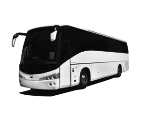 bus-transport-50pax